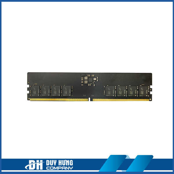 Bộ nhớ Ram Kingmax 16GB DDR5-5200MHz (HLH2KL1)