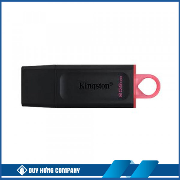 USB 256Gb Kingston DataTraveler Exodia (DTX) USB3.2