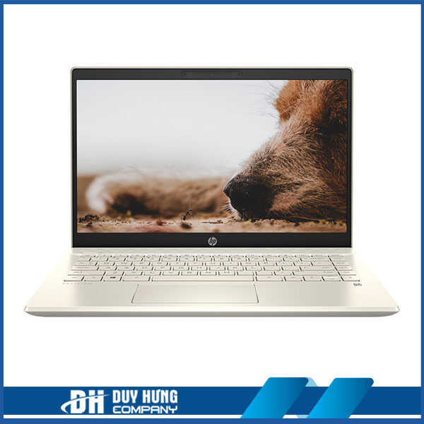 Máy tính xách tay HP Pavilion 14-dv0534TU Core i7-1165G7/ 8GB RAM/ 512GB SSD/ Intel Iris Xe Graphics/ 14″FHD IPS/ Webcam/ 3 Cell/ Wlan ac+BT/ Win 10 Home 64/ Warm Gold/ 1Y WTY_4P5G3PA