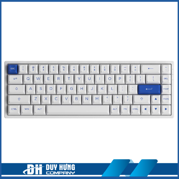 Bàn phím cơ AKKO 3068B Plus Blue on White (Bluetooth 5.0 / Wireless 2.4Ghz / Hotswap / Foam tiêu âm / AKKO CS Jelly Sw)